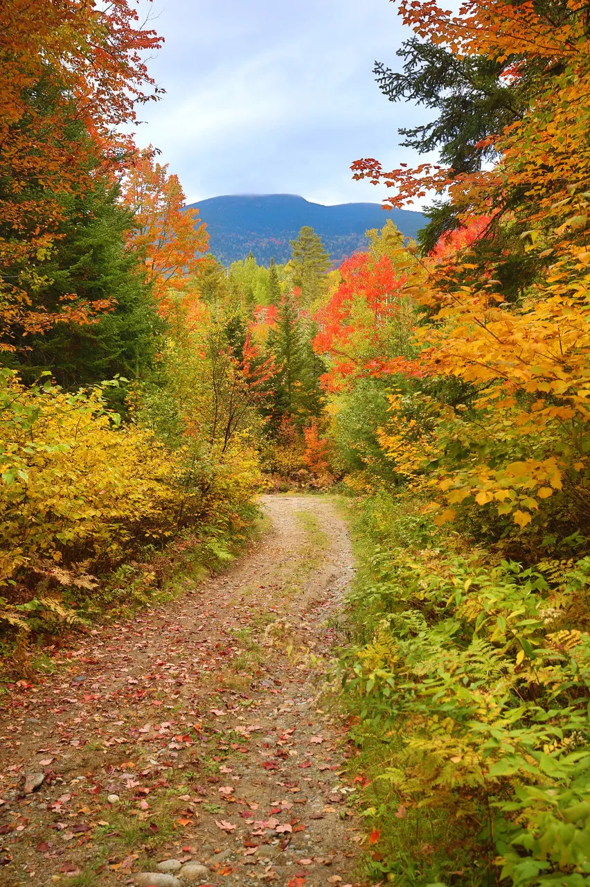 长白山|秋天的东北藏不住了，一组照片流出后，全世界都被惊艳了！