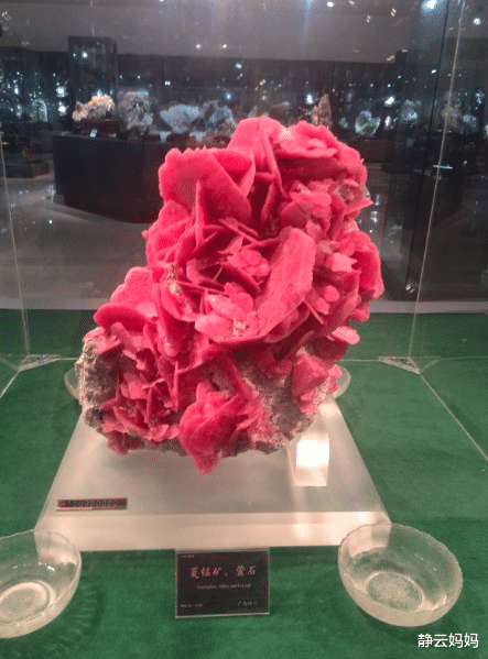 「长沙」长沙13个免费旅游景点，个个精心挑选，五一陪孩子好好玩尽兴