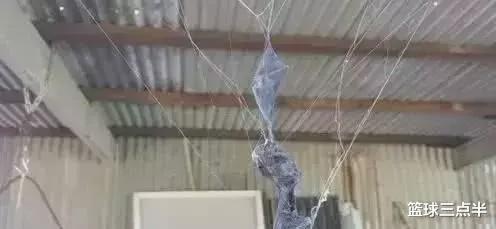 「蟒蛇」澳大利亚真是神奇的地方, 随处可见奇怪又巨大的生物, 很恐怖!