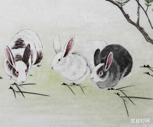 生肖|精通人情世故的3生肖，职场如鱼得水，赚钱得心应手，富裕不困难