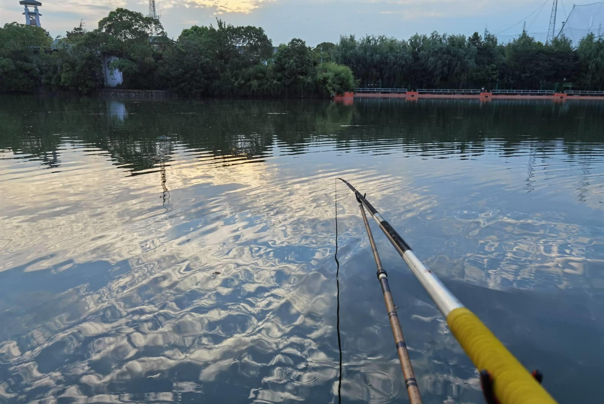钓鱼|一天之中，这两个时间段鱼儿最活跃，整明白后鱼获满满太轻松