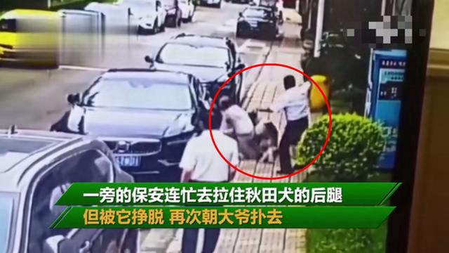 白鲸新视点|民事赔偿逃不了！88岁老人被狗绳绊倒后身亡，牵狗女孩逃离现场