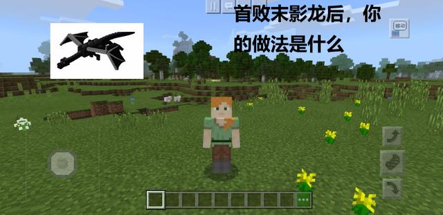【我的世界】我的世界：首败末影龙后，你都干了什么？这六种做法代表六种性格