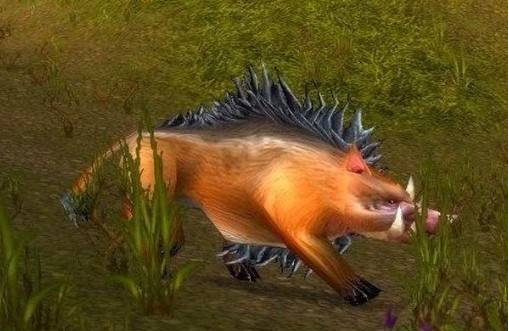 「pvp」魔兽怀旧服：老猎人教大家选宠物，这三个BB没有的赶紧重练