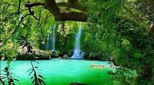 『生肖』一辈子没人心疼的五个生肖女