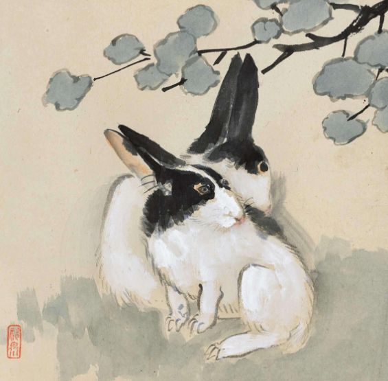 #属兔#属兔人：明天皆大欢喜，“四百年一遇”的大喜，一片大好！