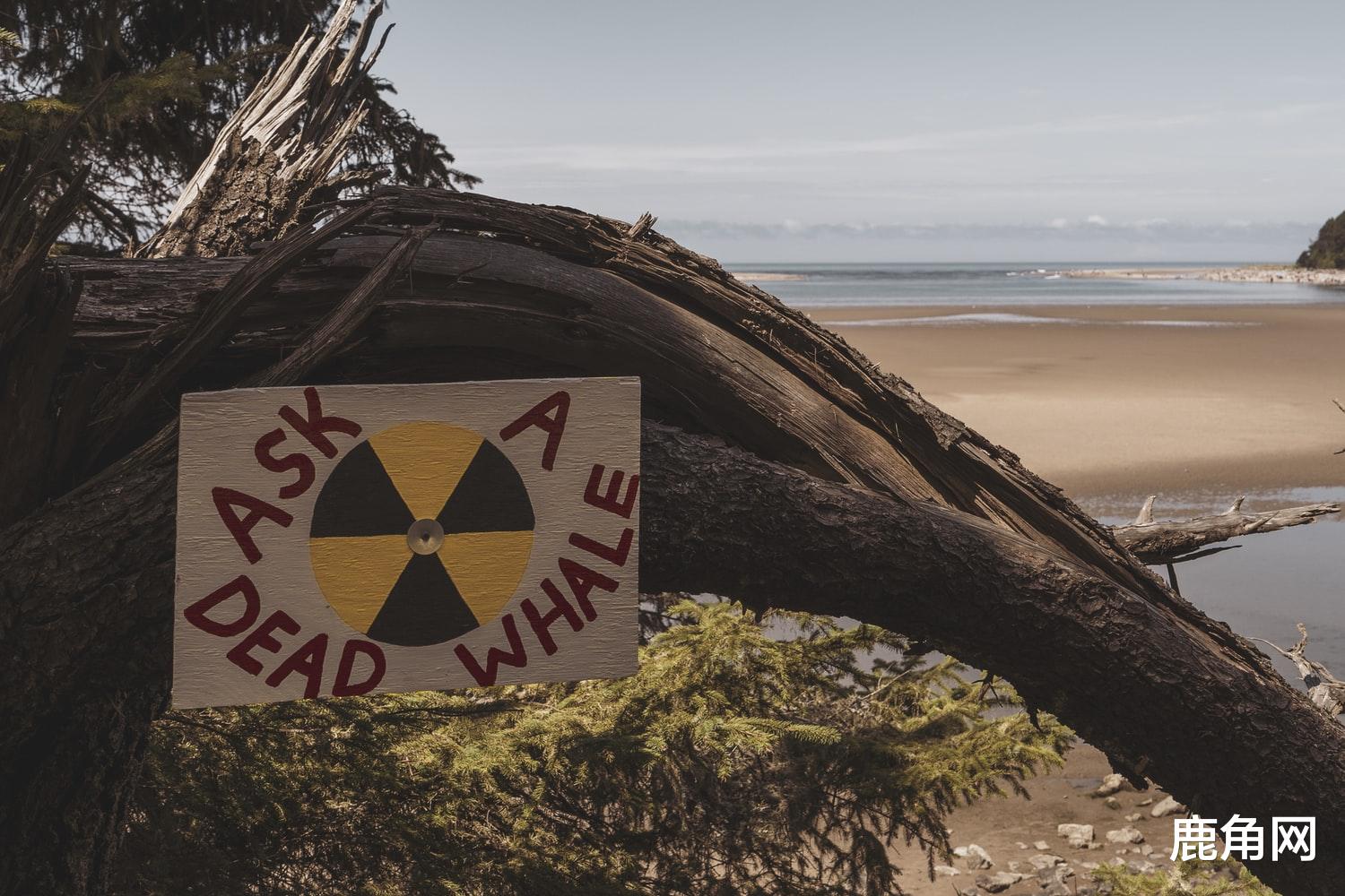 #哥斯拉#第二次世界大战如何造成了哥斯拉的诞生?