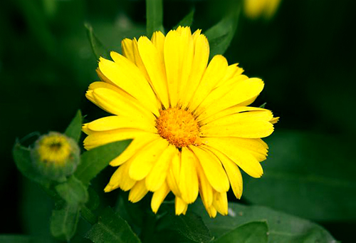 「」2020下半年,鸿运当头,不愁钱花的三个星座