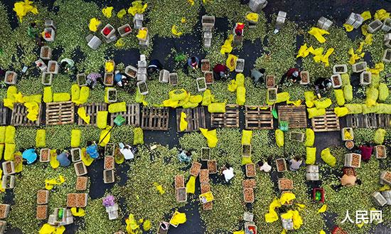 微软|电商热点：上海开通\消费品召回直通车\ 旅游平台\十一\忙促销