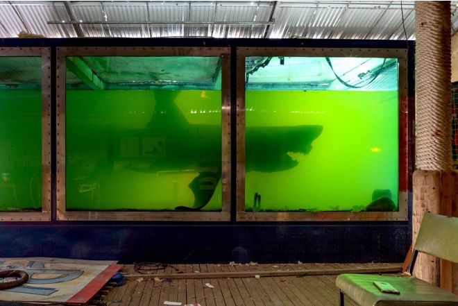 |那些被人类遗忘的角落，最终被大自然无情反噬