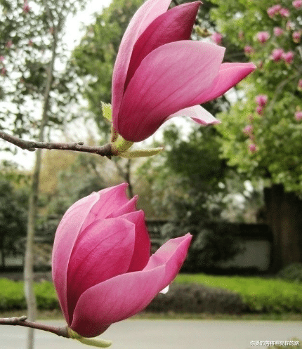 吉星|9月上旬，4属相吉星伴身，横财大奖接不停，生活水平步步高升