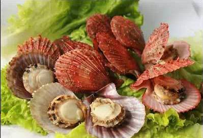 鱿鱼|开海了!这84种海鲜,你都认识吗?