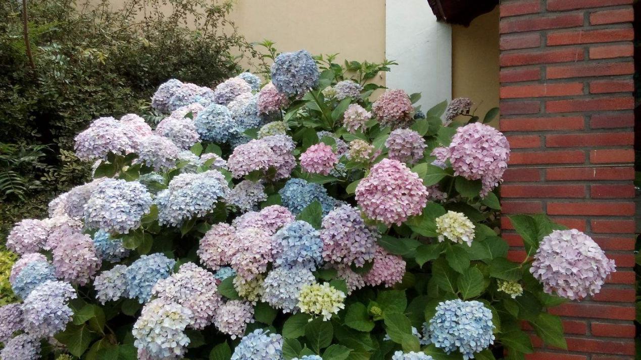 摩羯座▲2020年,运比火旺,得到贵人相助,诸事顺遂,愿望实现的几大星座