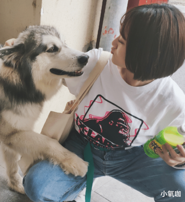 董思怡|段家宝减肥成功如“整容”，高颜值媲美关晓彤，被誉胖版热巴