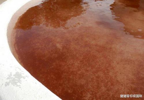 喀拉拉邦■天降红雨！印度曾两个月连续下红色雨水，科学家的发现令人吃惊