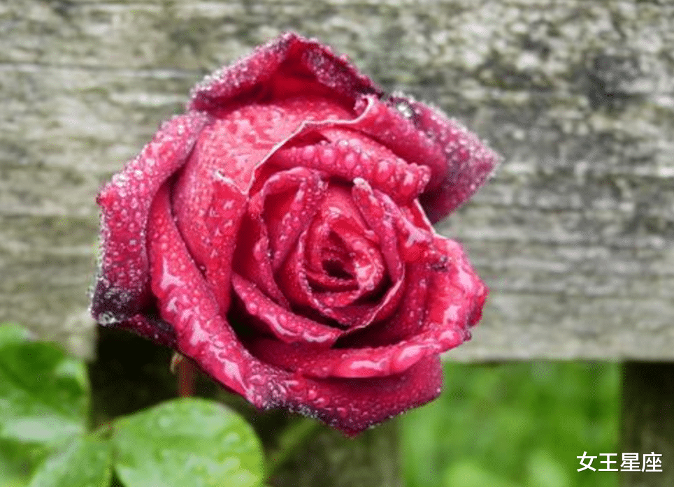 『运势』7月8号财运好到逆天，财神关照，横财大发3属相