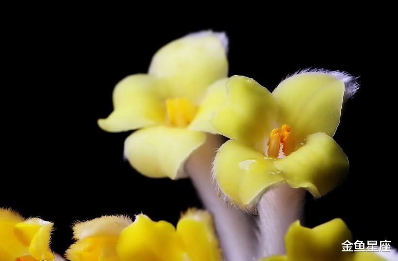 『霉运』未来7天3生肖,下半年霉运消散,贵人帮喜笑颜开