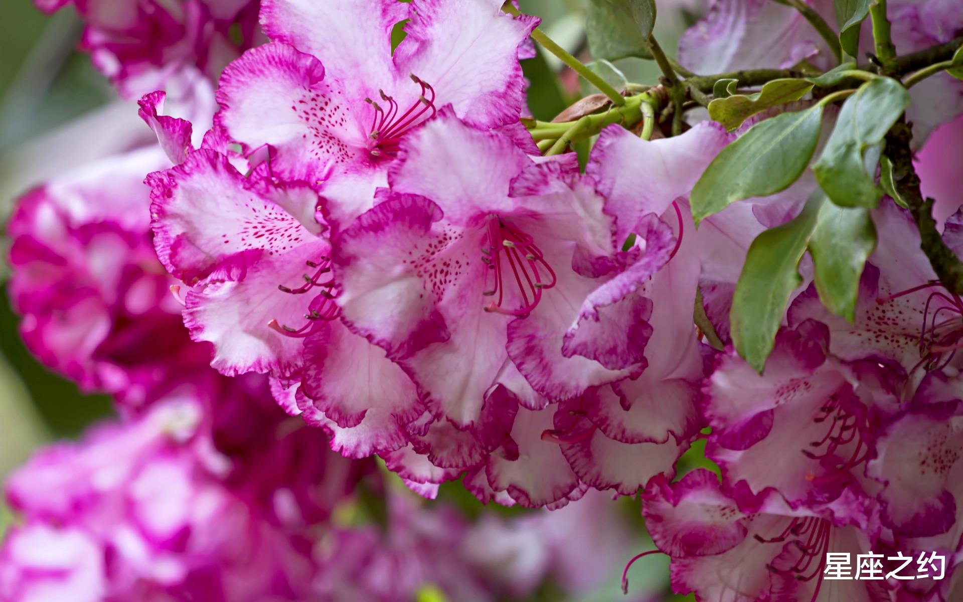 |11月21日星座运势：劳逸结合，心想事成的四大星座