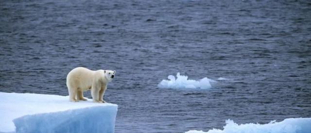 孤单又灿烂的神|最担心的事情还是发生了！地球警告：中国的2个地方正在“下沉”