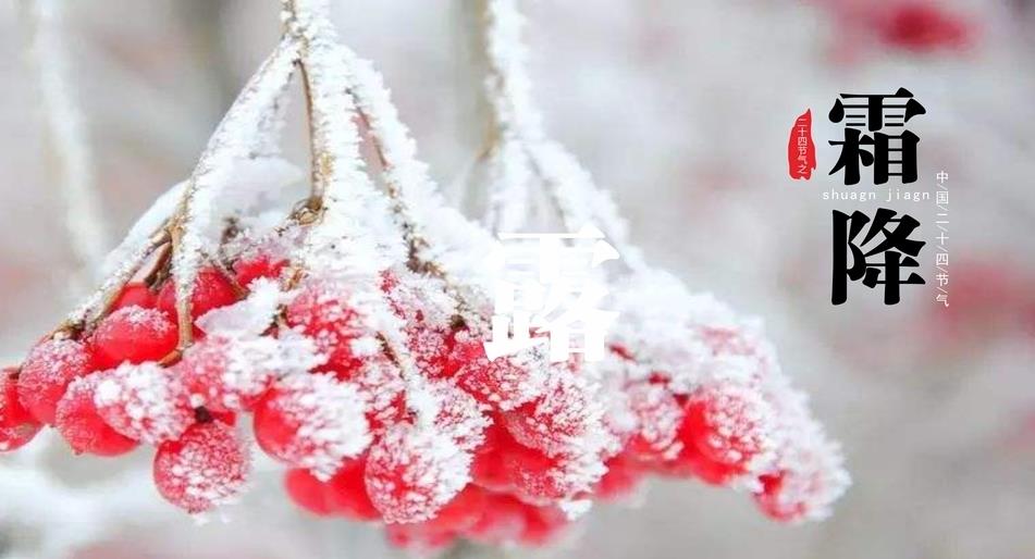 霜降|明日霜降，这10种食物要多吃，应季而食身体棒，平稳度过季节交替