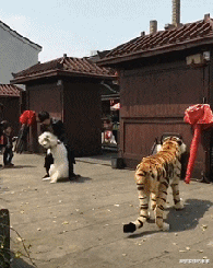 |楼下有卖凉菜的，我吃完有点上瘾，感觉不对劲，后来凉菜摊不见了