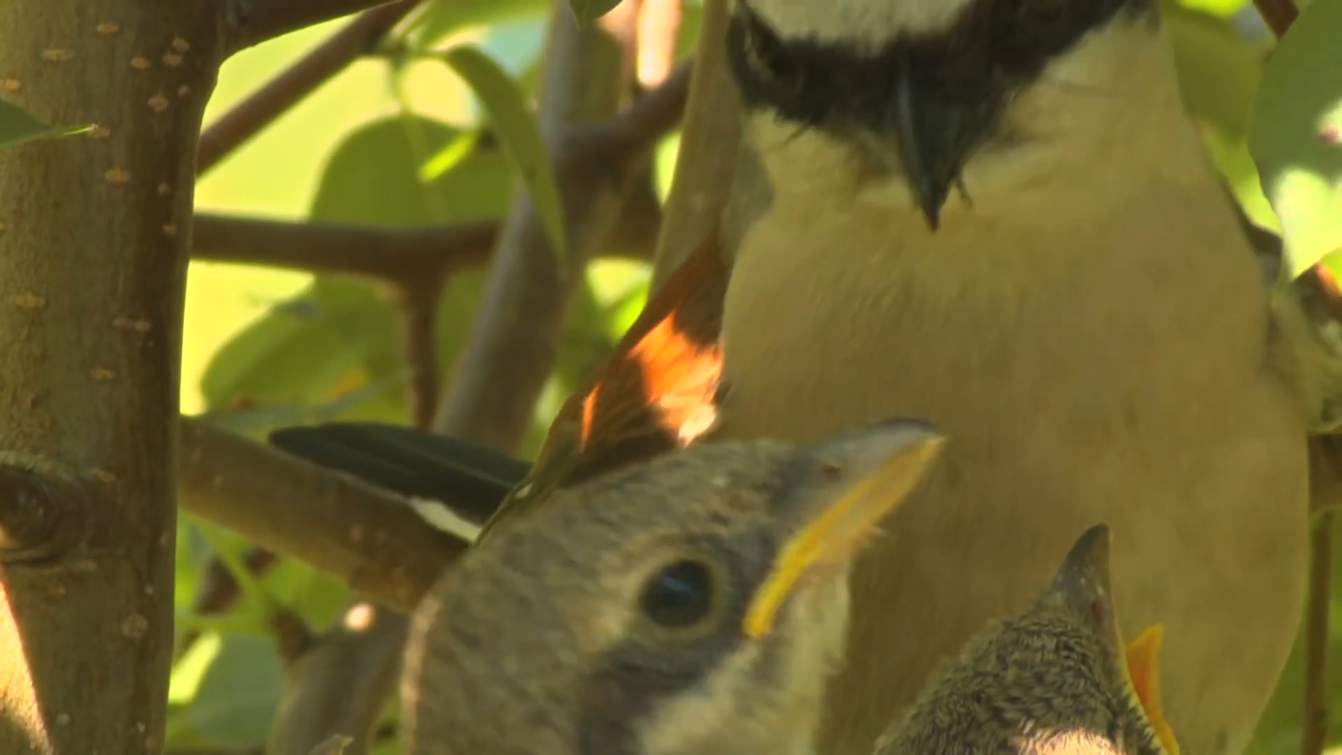 生肖▲农历这几月份出生的人,平日好人做尽,却被人发好人卡,即将爆发