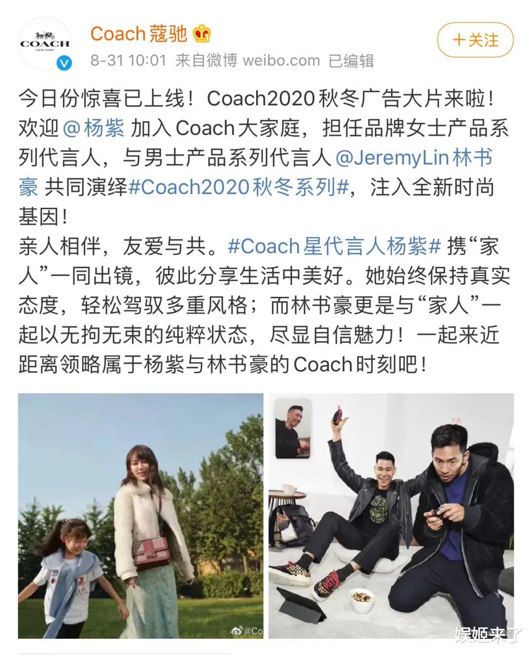 COACH|杨紫代言COACH被骂，那为什么不骂王一博？