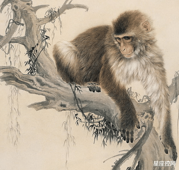 生肖|今年最好命的4生肖是谁？不受颠沛流离之苦，不遭饥寒交迫的罪