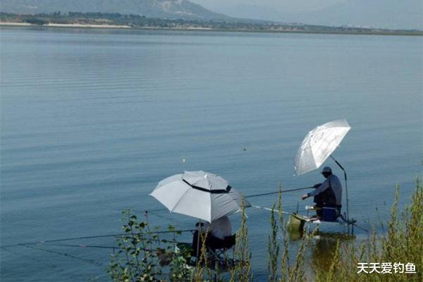 『』夏季钓鱼，天气和钓点的选择技巧，这些时机出钓，钓一次爽一次！