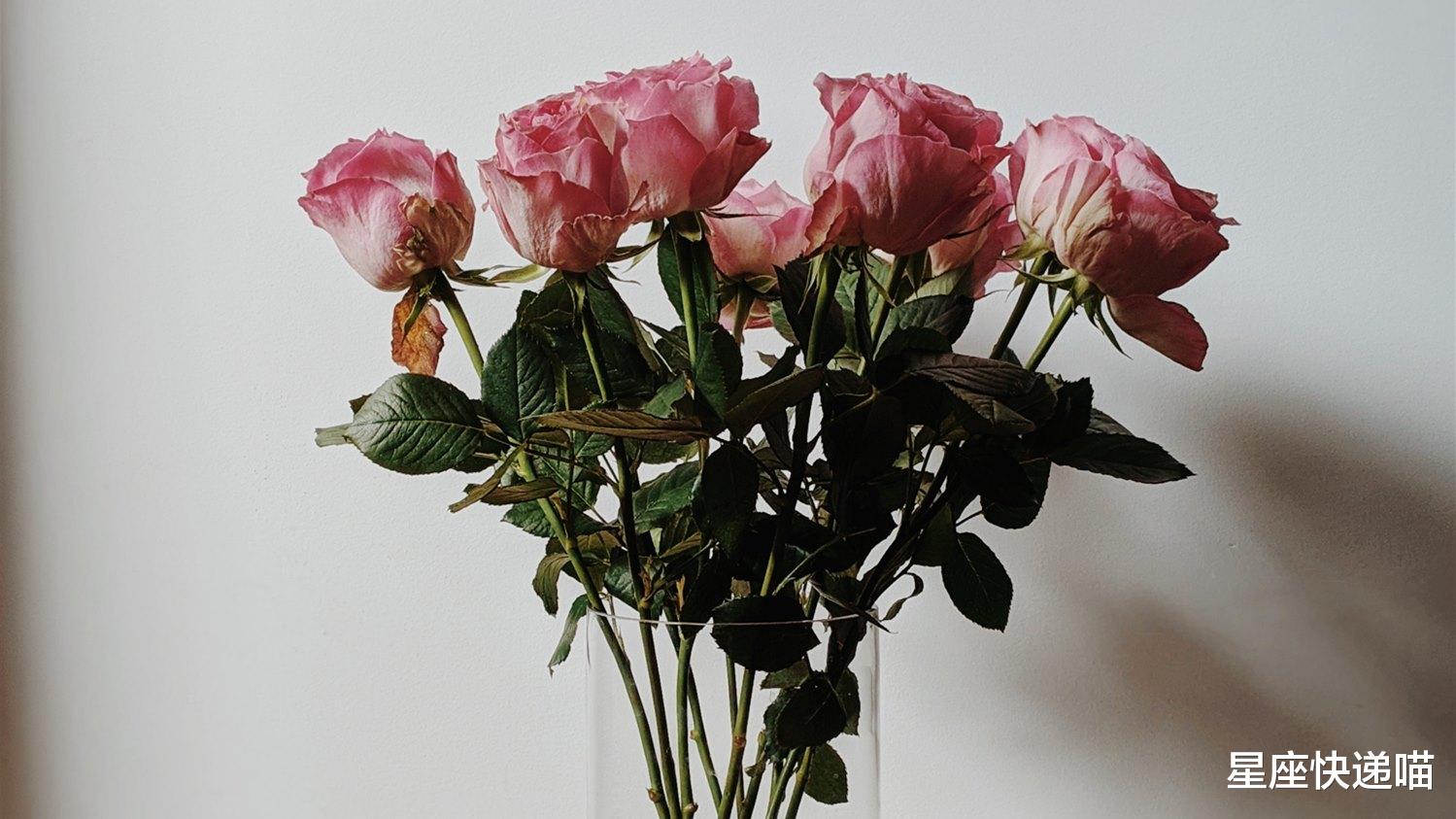 「狮子座」习惯了独立，宠不坏的3个星座女