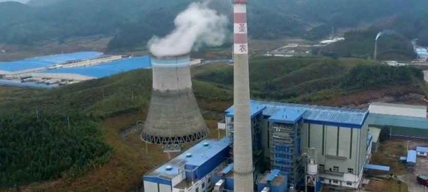 联合国：中国大山里养5亿只鸡，竟引起联合国的关注，如今多国纷纷效仿！