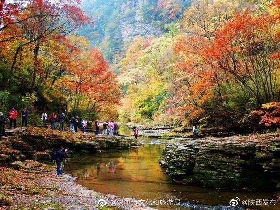 汉中|汉中这个景区的红叶已进入最佳观赏期