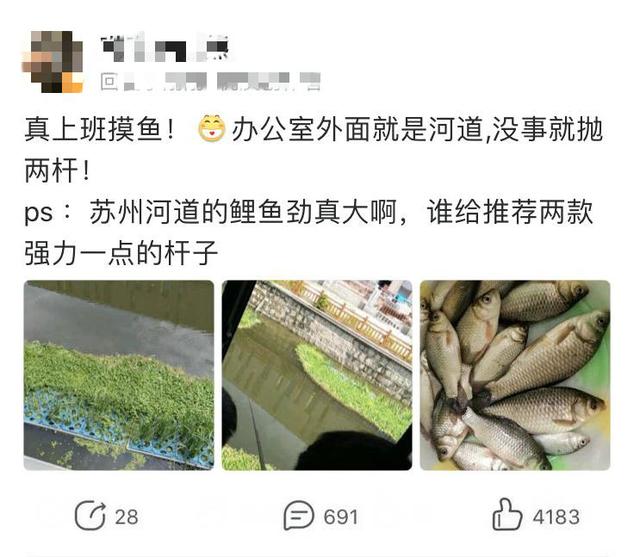 苏州|真正的上班摸鱼!办公室窗户外就是河道,男子上班钓鱼