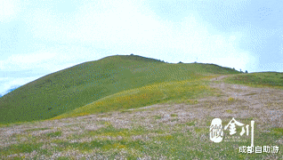 『川西』不输俄么塘！川西又一冷门万亩花海开放，不收门票，赏花观云还不打挤