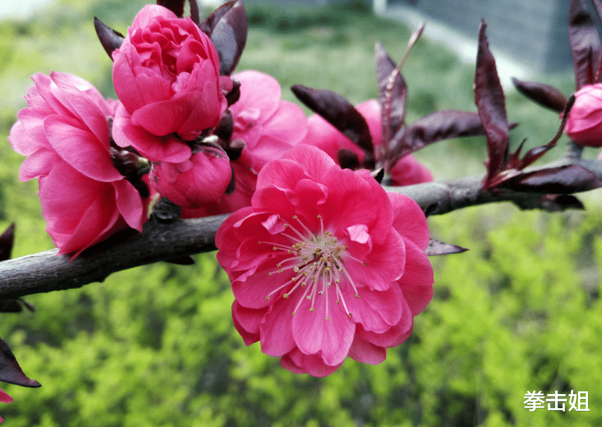 [生肖]最近七天起正财翻涨，步步高升，迎来一波获利渠道，财源滚滚来的生肖