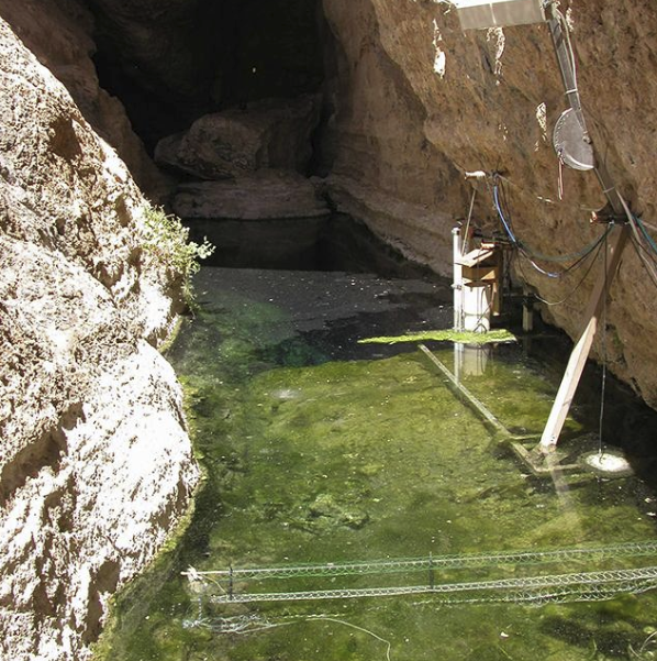 【大熊猫】比大熊猫还要珍贵的鱼，只剩下35条，如今在沙漠中苦苦挣扎