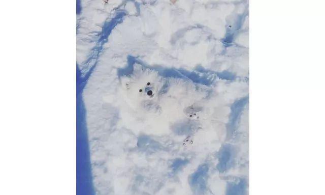 休息一下，享受这些可爱的瞬间