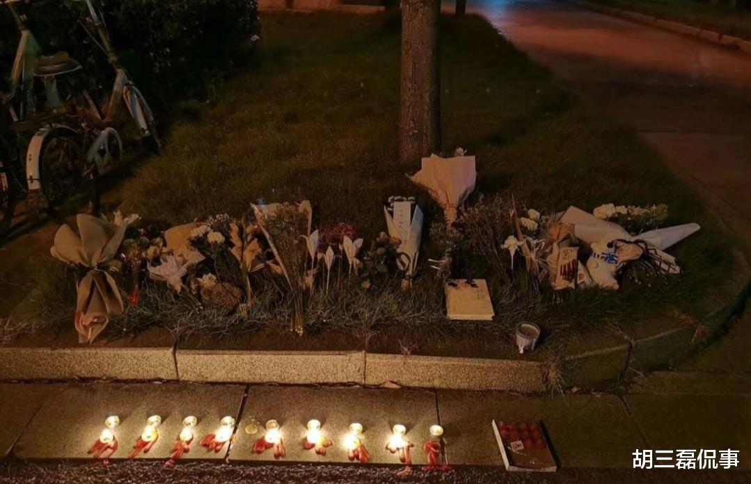 南京大学|“南京大学女博士坠亡”后续，生前最后一条朋友圈曝光