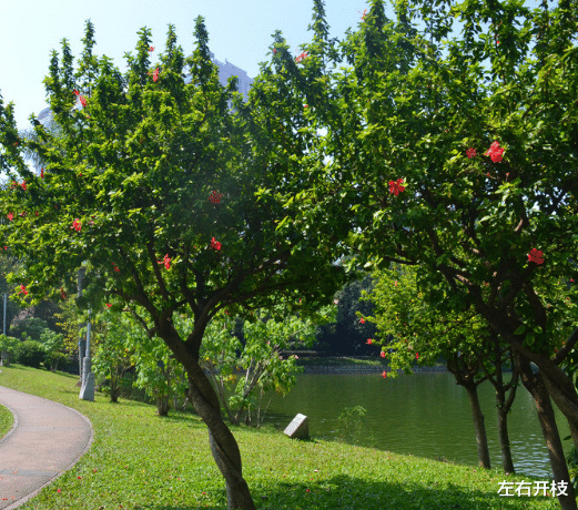 |文科生理科生哪个更容易拿到铁饭碗，哪一个更容易有较高的薪资？