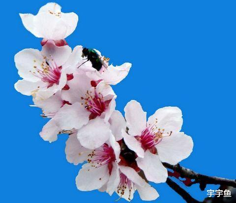 运势|9月5日起,4属相运势不可挡,生活富贵多金,大吉大利