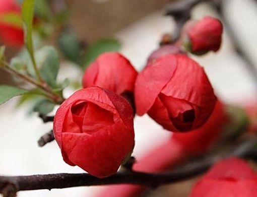 运势|步入10月，4属相获贵人指点，事业风生水起，喜事接二连三