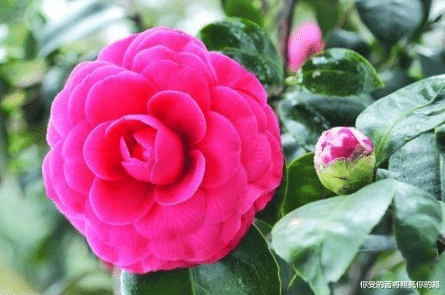 运势▲7月迎紫气东来，4属相横财大发百万，喜从天降，过好日子