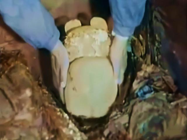 定陵|老照片再现定陵发掘全过程：郭沫若亲自指导，代价惨痛，图9裸手取万历皇冠