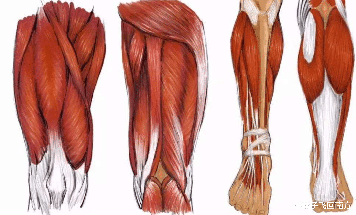 机器|上世纪农民可肩扛数百斤，为何如今不行，人类是否已经开始退化？