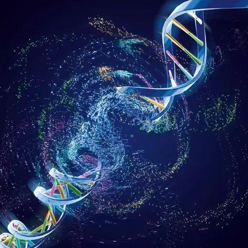 灭顶之灾：七万年前人类遭受灭顶之灾, 全球只剩两千人! 灾难到底是什么!