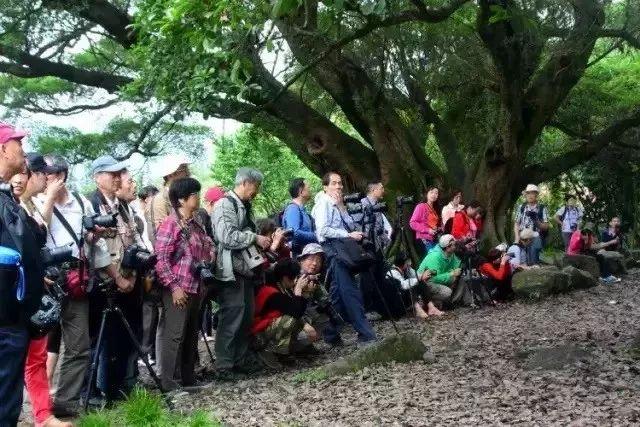 旅行|看了这些景区的“素颜照”，我再也不想去旅行了