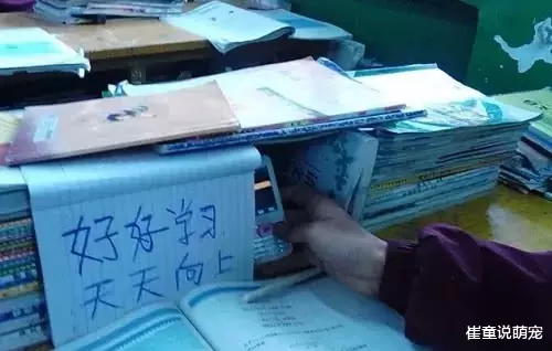 班主任突然出击“查手机”，学渣直接扔抽屉，看到学霸的操作：神了！