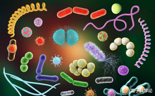 无性繁殖|人类生娃娃为何要男女搭配?很麻烦,无性繁殖不是更方便吗?