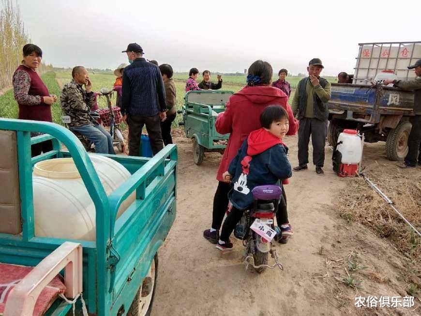 农俗俱乐部|存钱养老，还是花钱给儿子娶媳妇儿延续香火？农村父母该考虑清楚