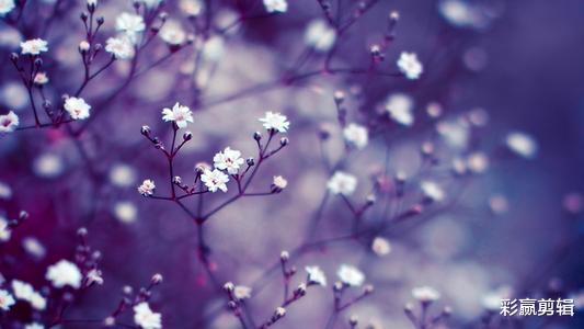 白羊座|9月下旬转角遇见桃花，成功脱单，牵手成功的四个星座